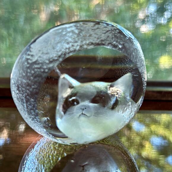Vintage Clear Glass Cat Face Paperweight, Frosted Intaglio Kitty - Picture 12 of 12